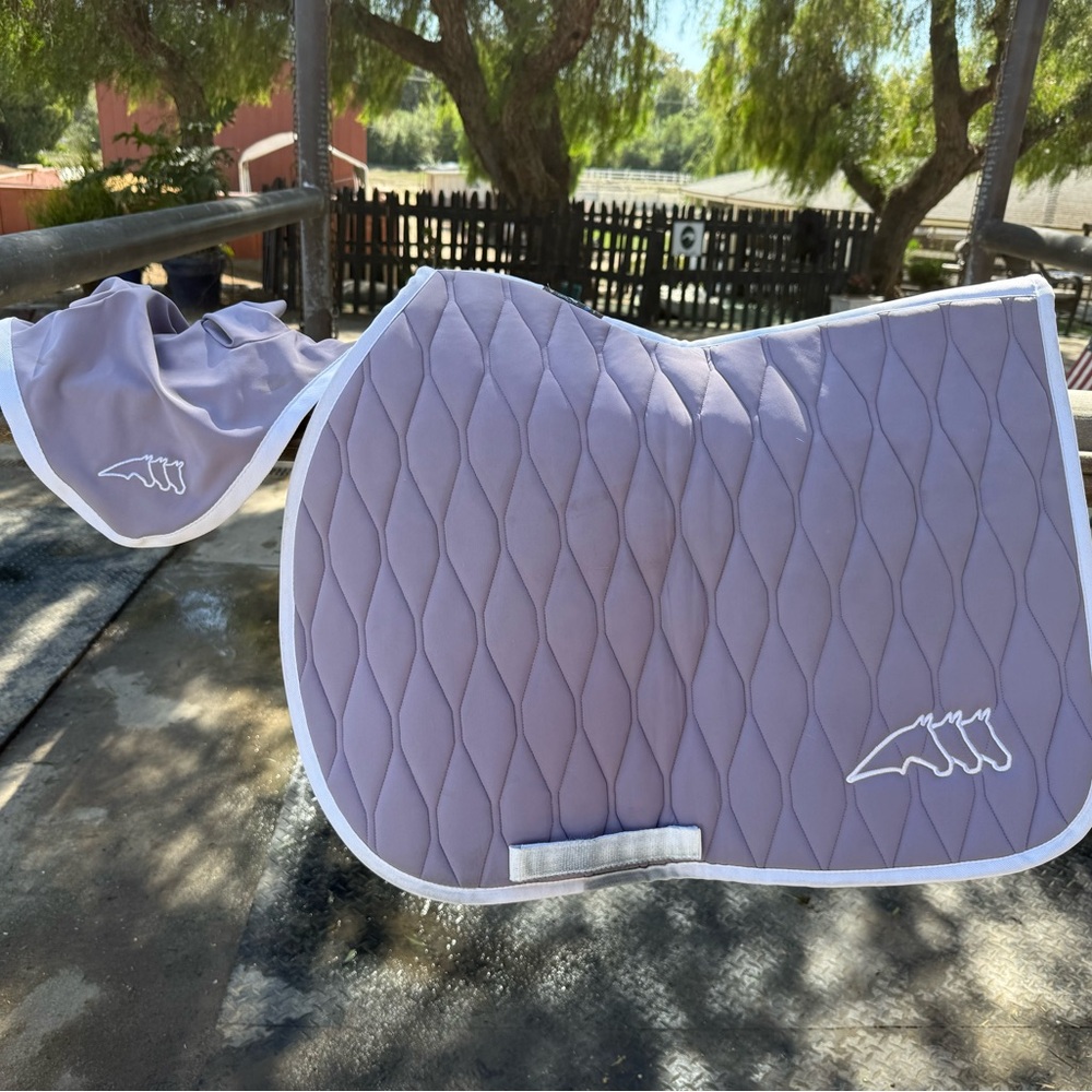 Pretty lavender equiline matching set. Used one time